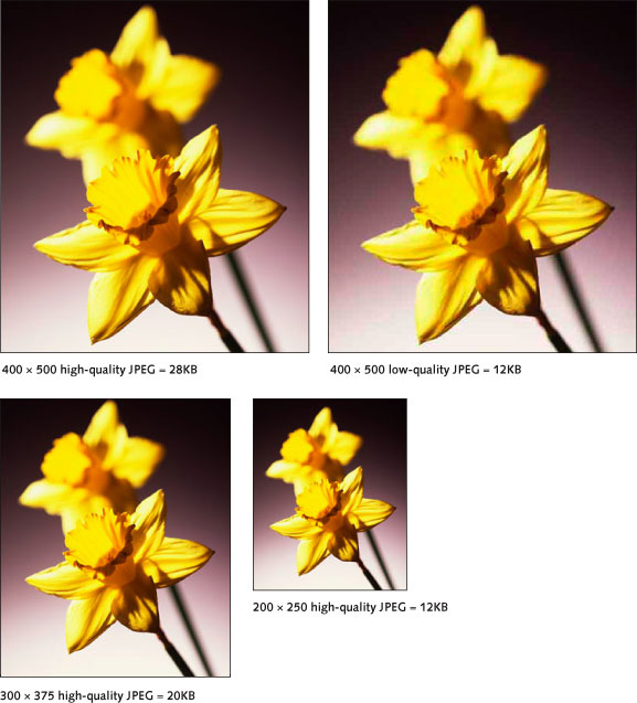 Figure 4.10: Daffodils photograph at different sizes and quality settings